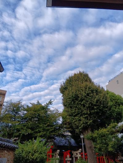 251002070626182-7»þ6ʬ