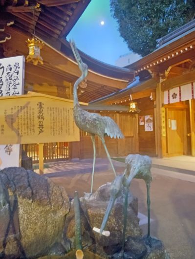 260106070326061-�����ꤷ����⸫�Ƥ��롡��ɤ��