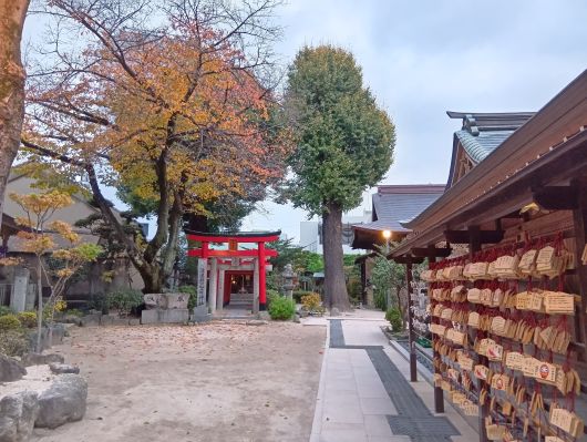 251208071413581-7��14ʬ