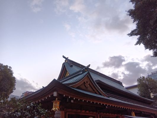 251227072230598-7��22ʬ