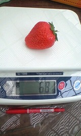 6d420f04.jpg