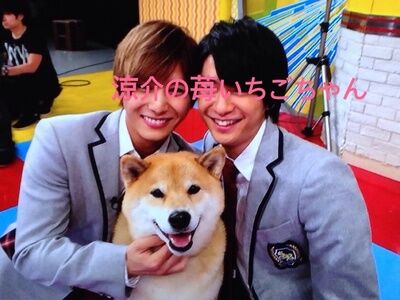 山田涼介の苺いちごちゃん 15年12月14日