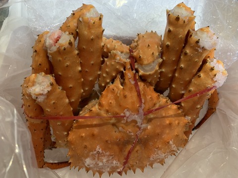 F9A07F16-6979-45CF-A09E-D7643AC58902