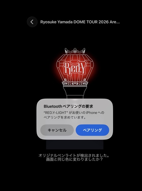 RYOSUKE YAMDAオリジナルペンライトに関し当日の公演チケットをお持ち