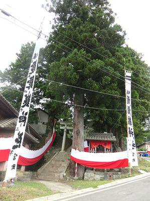 04d8636f.jpg