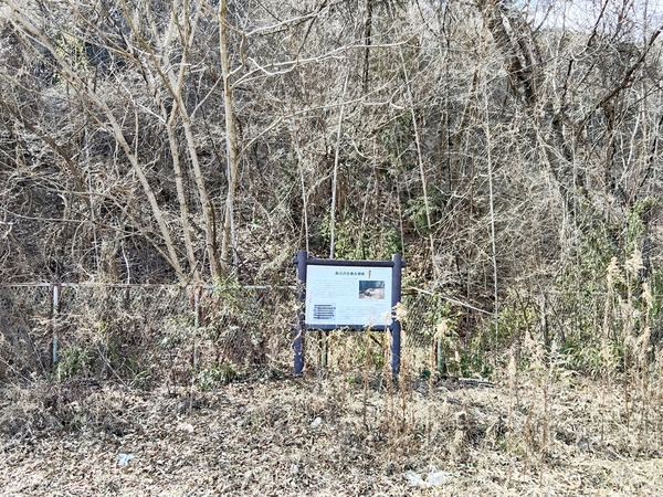 s-IMG20260315132307