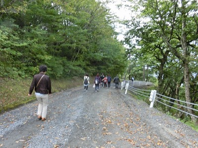 167b8dc0.jpg