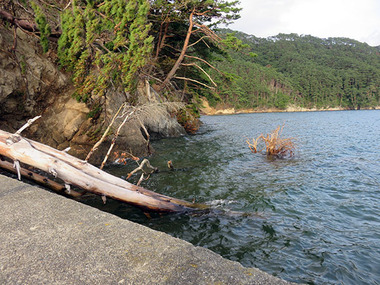 1a52b5f5.jpg