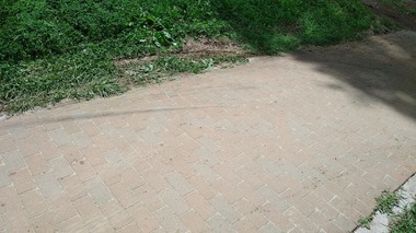 1b84463c.jpg