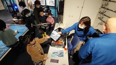 2211994d.jpg