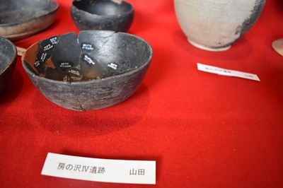 225b0727.jpg