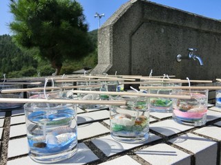 24d176d9.jpg