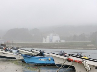 2bfc910e.jpg