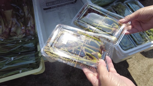 DJI_0651 - frame at 1m31s