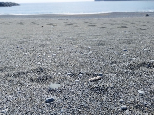 IMG20250312112047_R