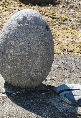 2f102929.jpg