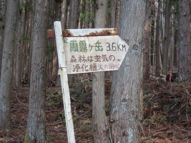 33423388.jpg