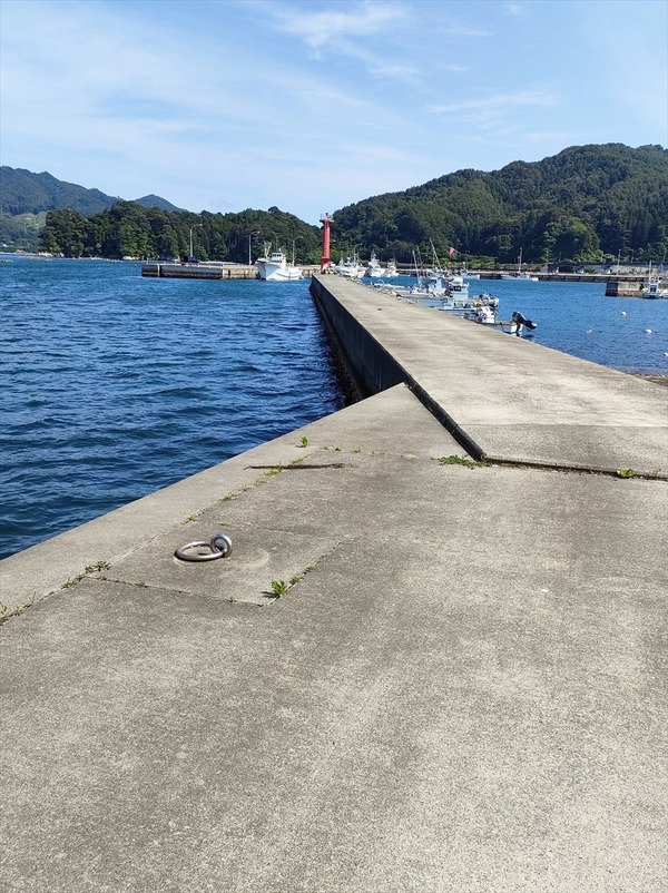 IMG20240608142212_R_R