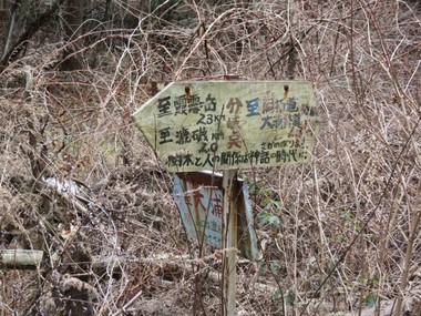 33f7986e.jpg