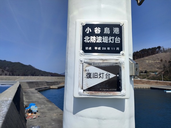 IMG20250312111132_R