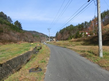 3b8080eb.jpg