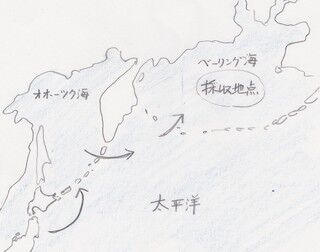 太平洋.jpg