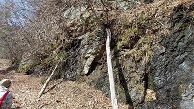 s-20230321_101945 - frame at 6m43s.jpg