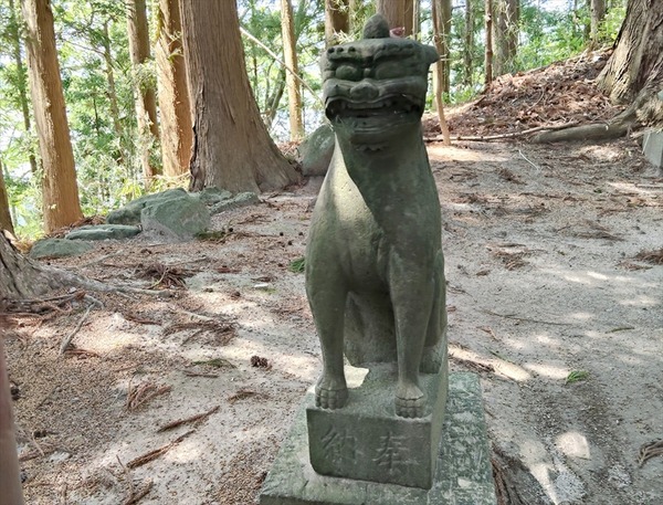 s-IMG20260516105331_R