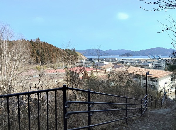 s-IMG20260315131822