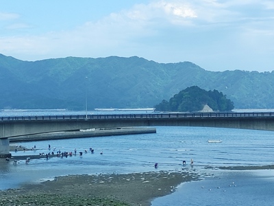 50f0e766.jpg