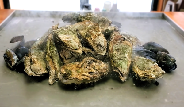 スクリーンショット 2025-01-30 112549