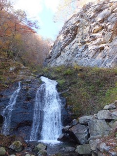 647f3e37.jpg