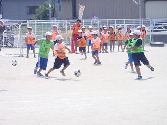 P8231797-3.jpg
