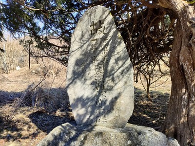 67738c5f.jpg