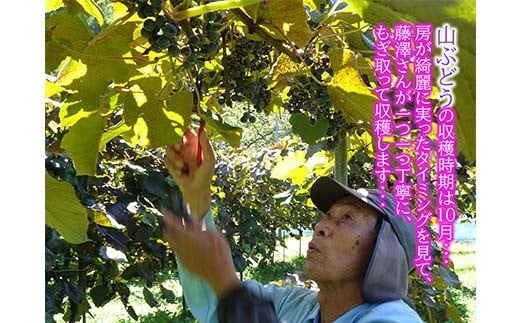 sd4_c798e7862faa10992eb4a663e6f01c4305bd0c4d