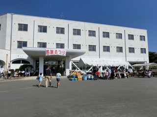 73bff100.jpg