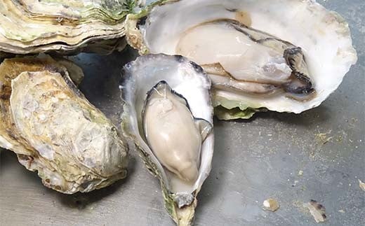 sd4_214b3c50aee932da935f48b6247f2d17fc55d946