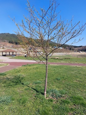 8813e67f.jpg