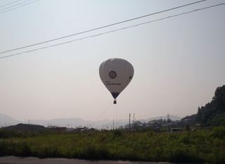 8a192d91.jpg