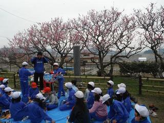 8bb91655.jpg