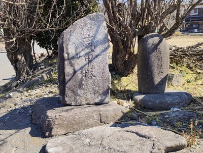 9536966a.jpg