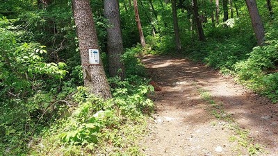 a4330b25.jpg