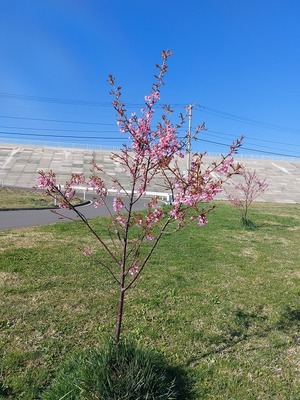 abc5b61e.jpg