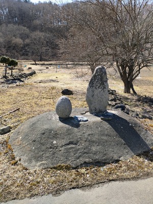 ad732488.jpg