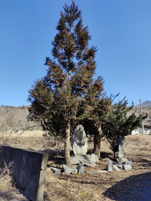 adf00c48.jpg