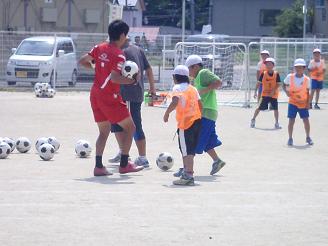 P8231798-2.jpg