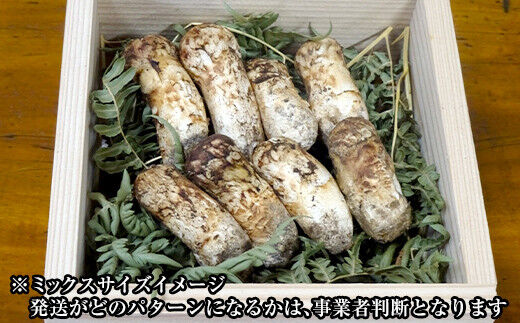 岩手県山田町産松茸】今年は不作です☆お早めにどうぞ。 ぽかっ
