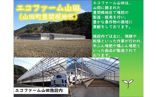 sd3_87885fb002b0d2f6759e1b7dcedea3d245193dbe