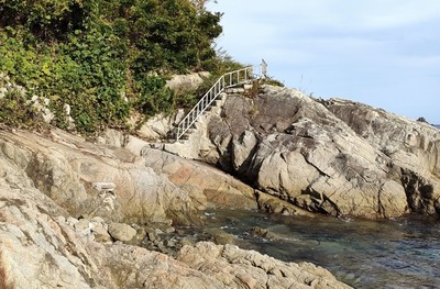 c0801d82.jpg