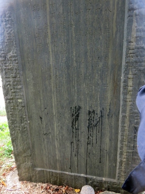 c2907119.jpg